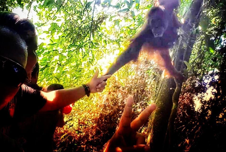 ETALAUSER Jungle Gate EcoResort Bukit Lawang Exterior foto