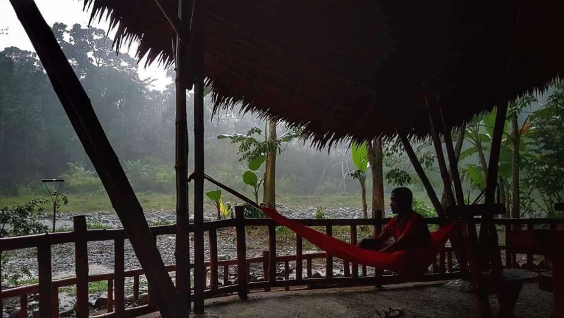 ETALAUSER Jungle Gate EcoResort Bukit Lawang Exterior foto