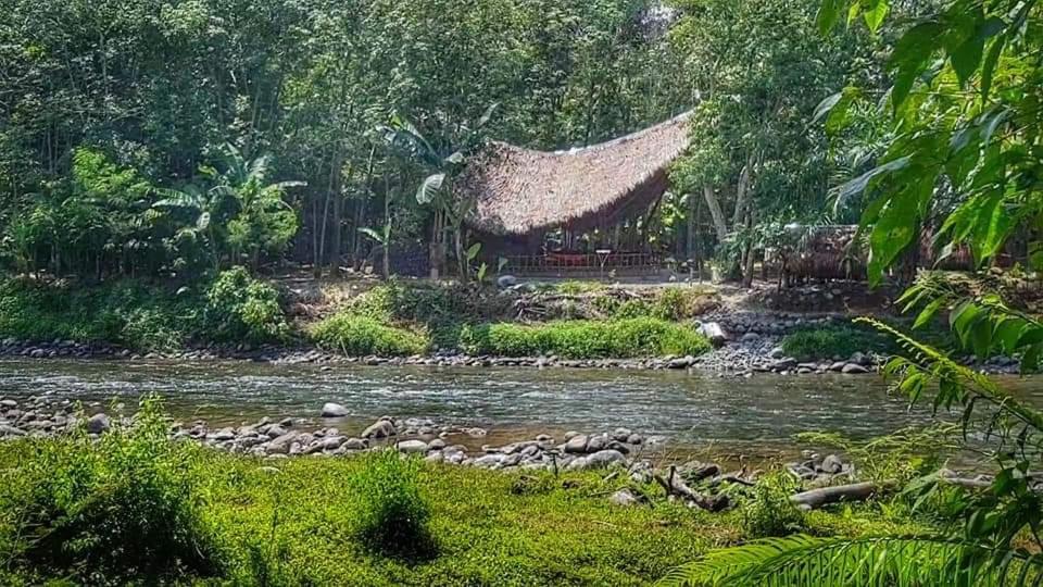 ETALAUSER Jungle Gate EcoResort Bukit Lawang Exterior foto